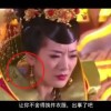 摇头摆尾十二生肖是什么